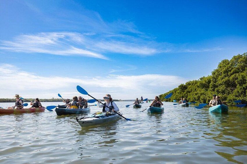 Small Group Kayak Tour of the Shell Key Preserve 3