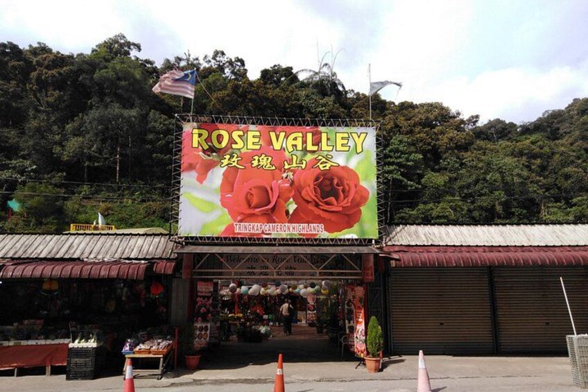 En butik med et stort skilt, der reklamerer for 'Rose Valley', og et flag. 4