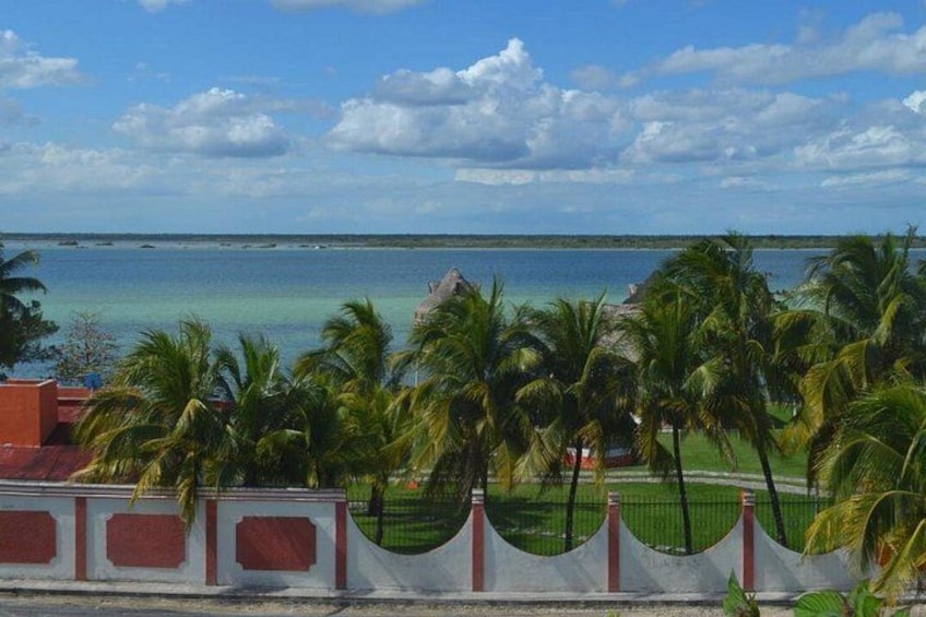 Vista costera con palmeras, cielo despejado y mar tranquilo. 4