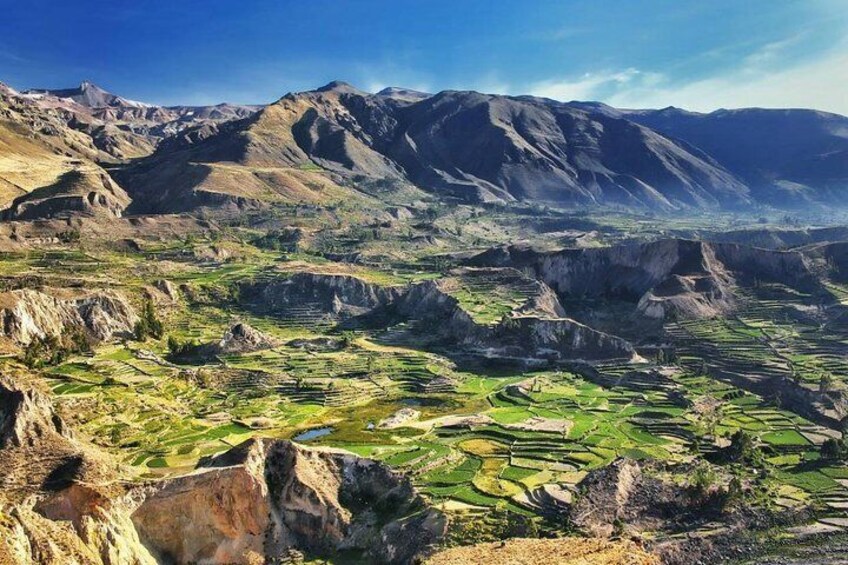 ANDENERIAS DEL CAÑÓN DEL COLCA