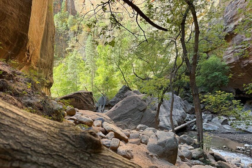 A rocky canyon with a stream, large boulders, and trees. 2