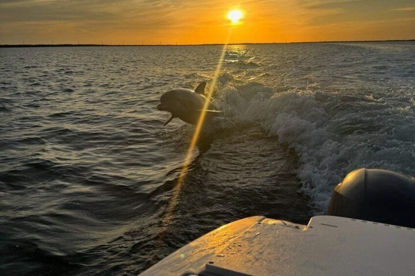 A boat moving through water with a dog on the bow, and the sun setting in the background. 2
