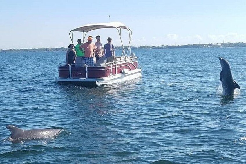 Small Group Florida Keys Eco Tour by Boat 4