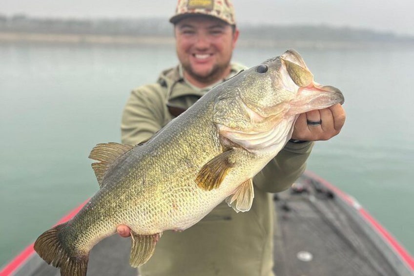 A person holding a large fish. 4