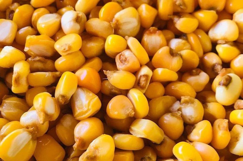 A close-up of yellow corn kernels. 5