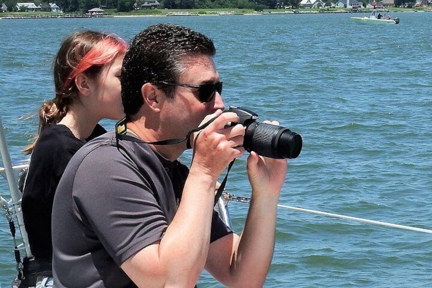 Photograph osprey, cormorants and dolphins! 2