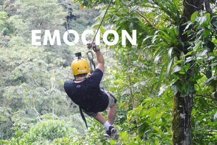 Zip Line, 10 differents cables! 2