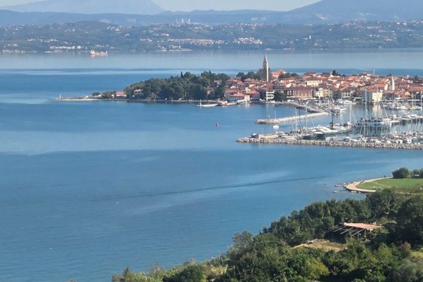 Experience Slovenian Coast line with Wine Tasting from Trieste 3