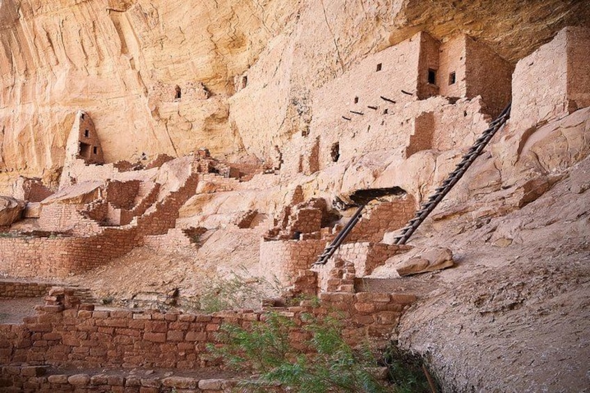 Ancient cliff dwellings with multiple levels and a ladder leading up. 5