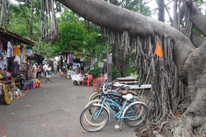 Private Tour in El Malecon Boardwalk Bike Ride 4