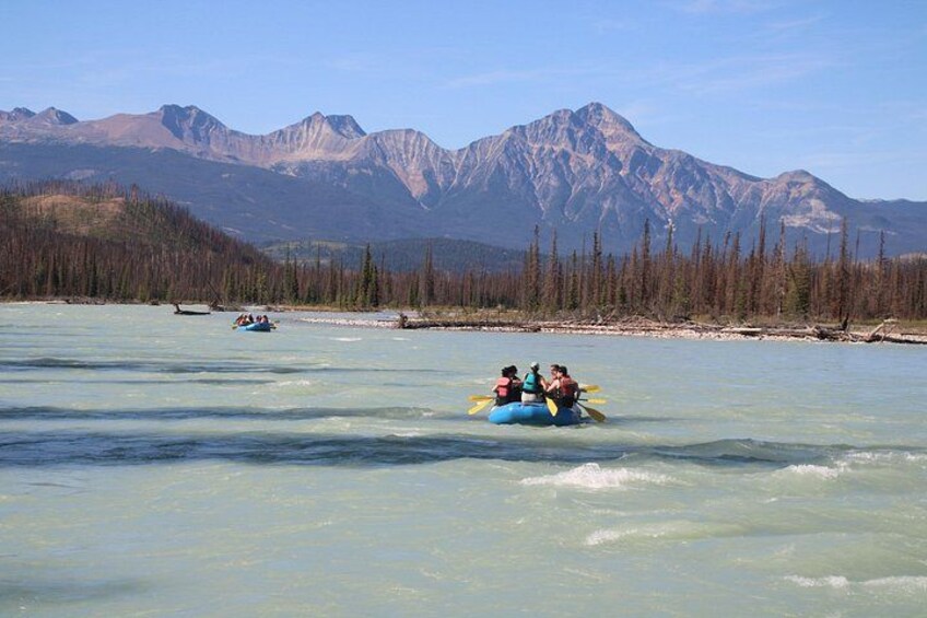 Rafting on Athabasca River Mile 5 in Jasper 4