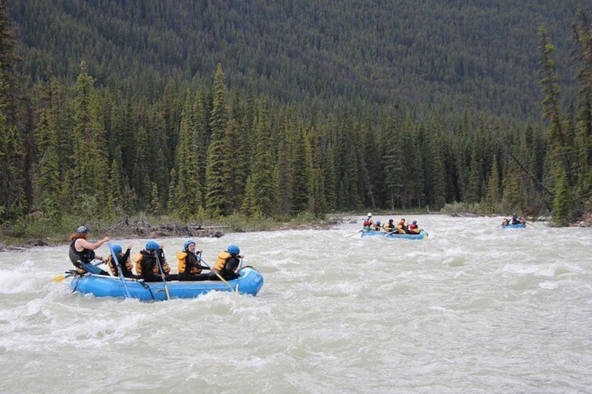Class 3 Sunwapta River Rafting Adventure in Jasper 4