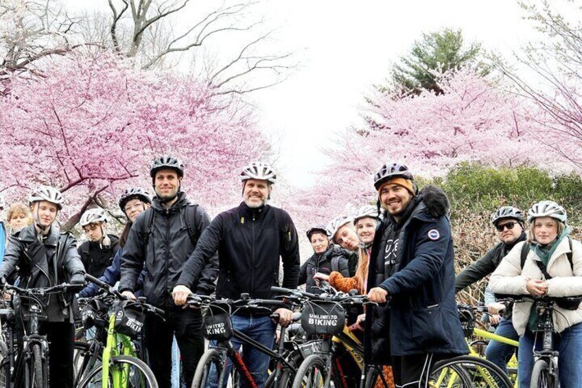 Washington DC Cherry Blossoms By Bike Tour