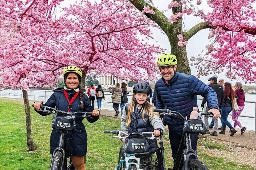 Washington DC Cherry Blossoms By Bike Tour