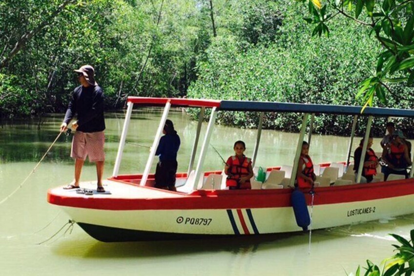 Damas Island Mangrove Fishing Tour from Manuel Antonio