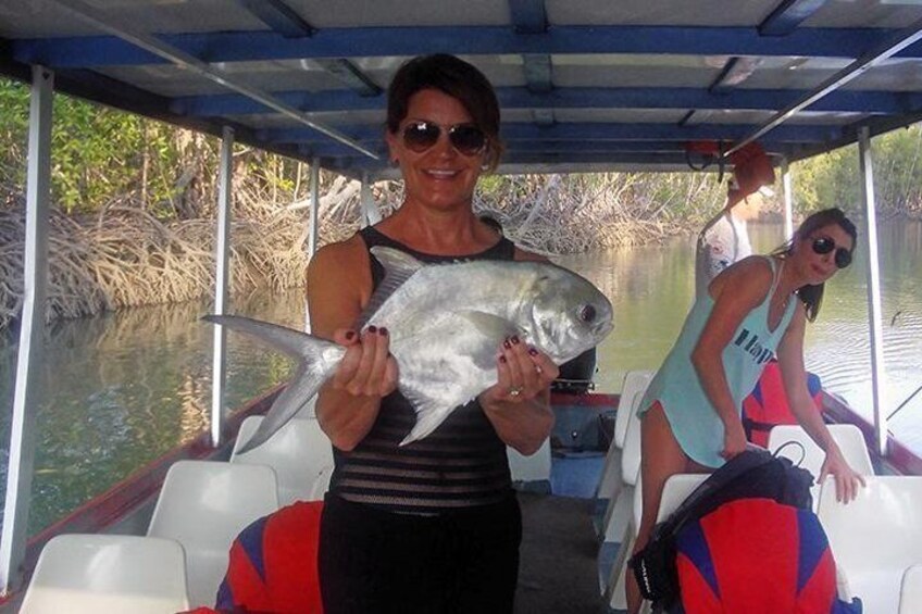 Jack crevalle caught in Damas Island magrove's.