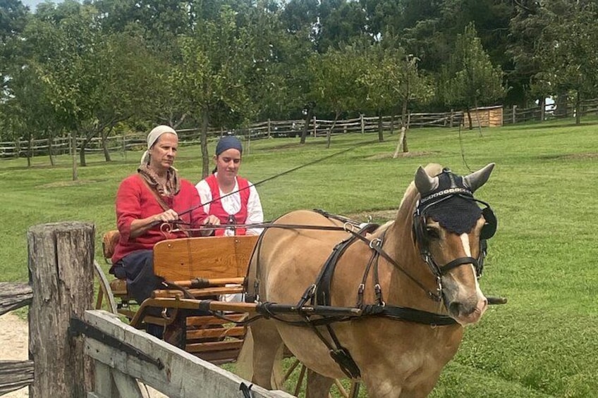 A horse-drawn carriage with two people, a horse, and a wooden cart in a grassy field. 4