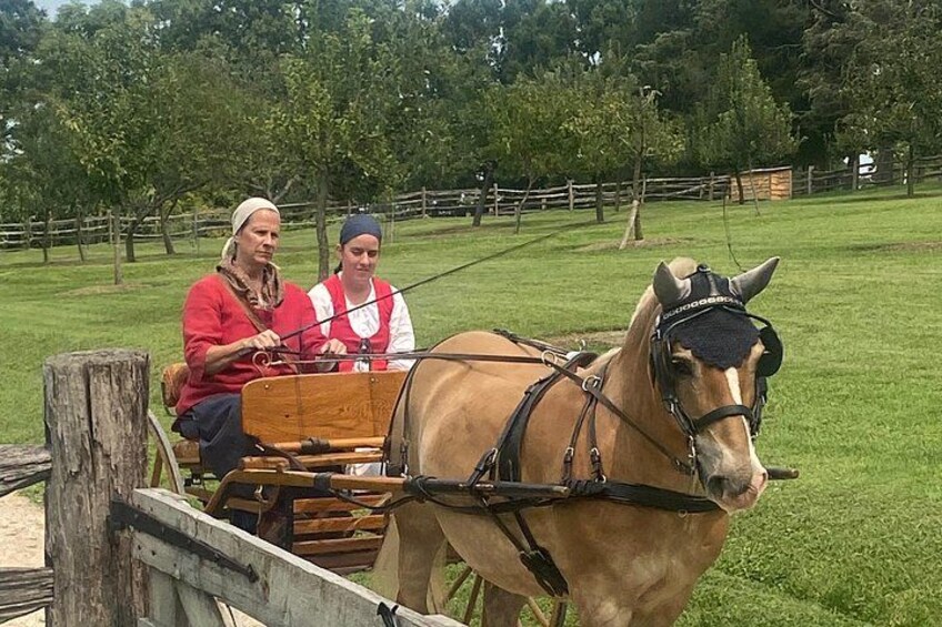A horse-drawn carriage with two people, a horse, and a wooden cart in a grassy field. 3