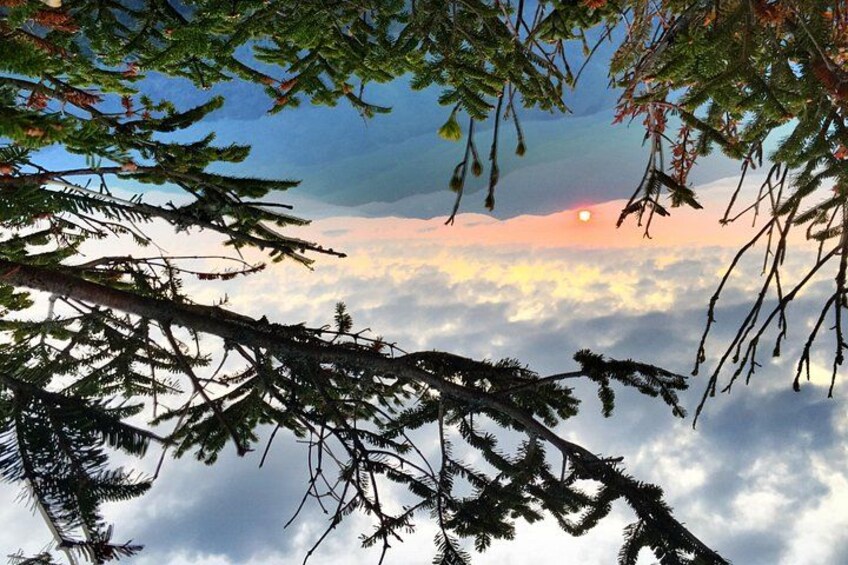Cielo despejado con rayos de sol filtrándose entre el follaje de un bosque, y el sol ocultándose o asomándose tras las nubes. 2