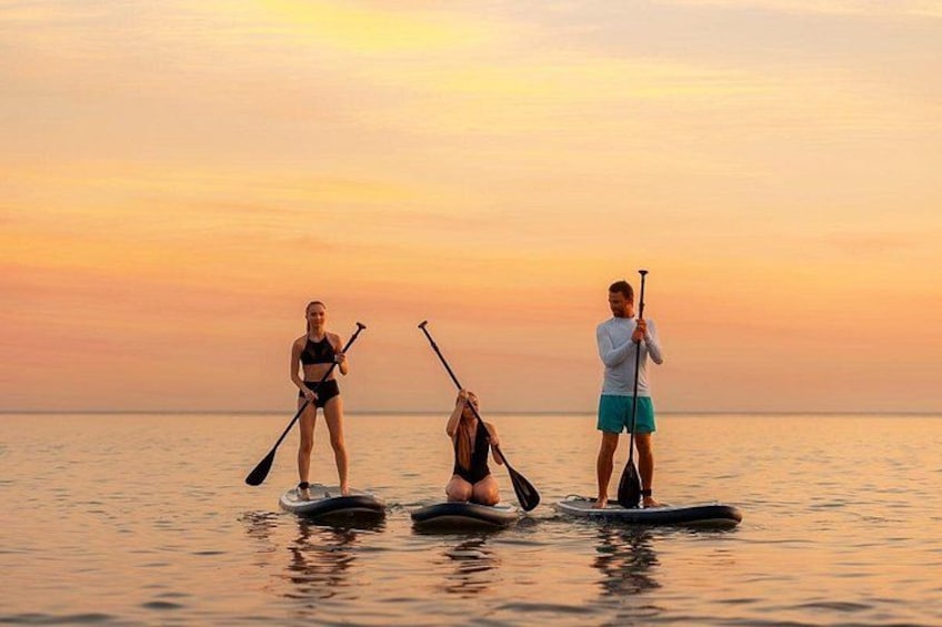 Sunset dolphin and bioluminescent comb jelly tour SoBe Surf and Paddle Orlando Cocoa Beach area 2