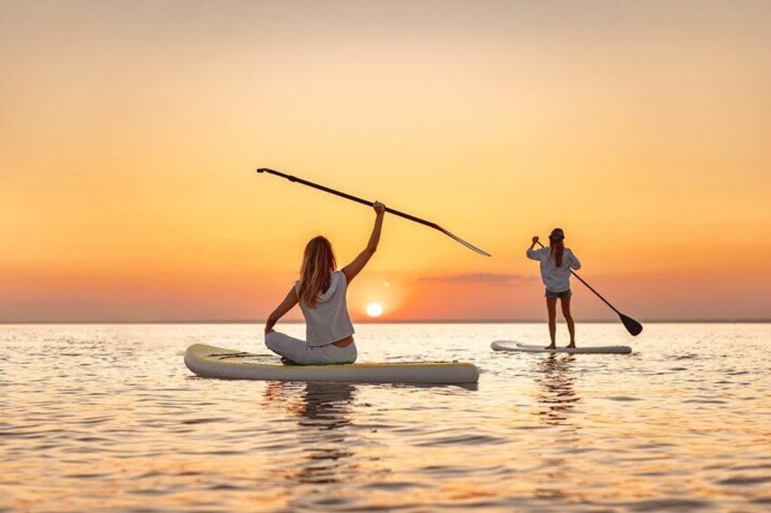 Sunset dolphin and bioluminescent comb jelly tour SoBe Surf and Paddle Orlando Cocoa Beach area 5