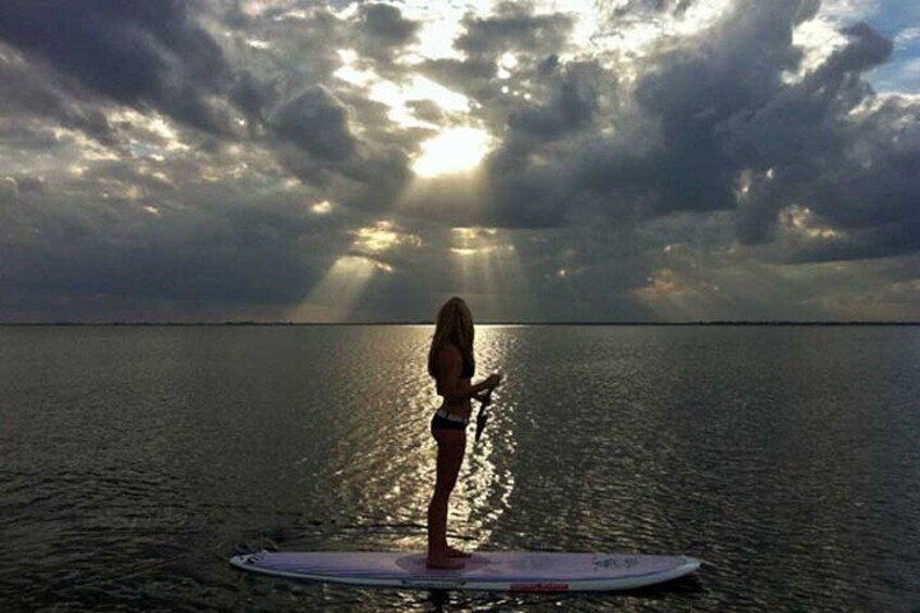 Bioluminescence Tour on Kayak or Paddle Board 4