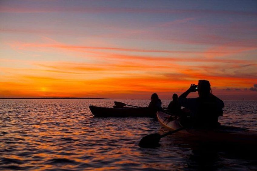 Sunset dolphin and bioluminescent comb jelly tour SoBe Surf and Paddle Orlando Cocoa Beach area 4