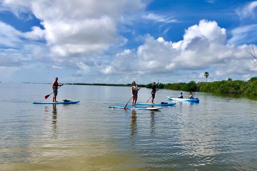 Persone che fanno paddleboard su acqua calma, con cielo sereno e costa in lontananza. 4