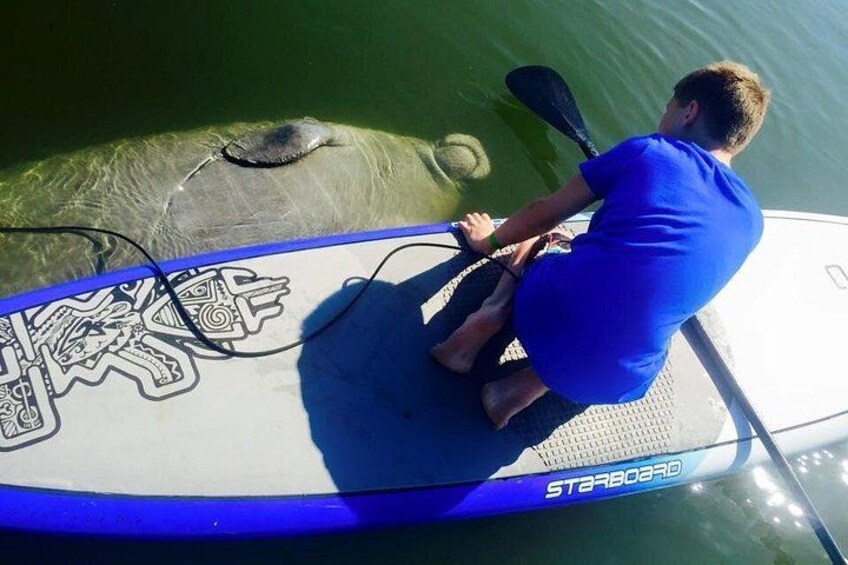 Una persona seduta su una tavola da paddleboard in acqua. 1