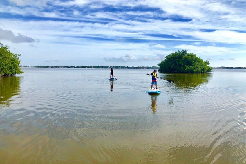 Due persone che fanno paddleboarding su un lago calmo, con una piccola isola sullo sfondo. 2