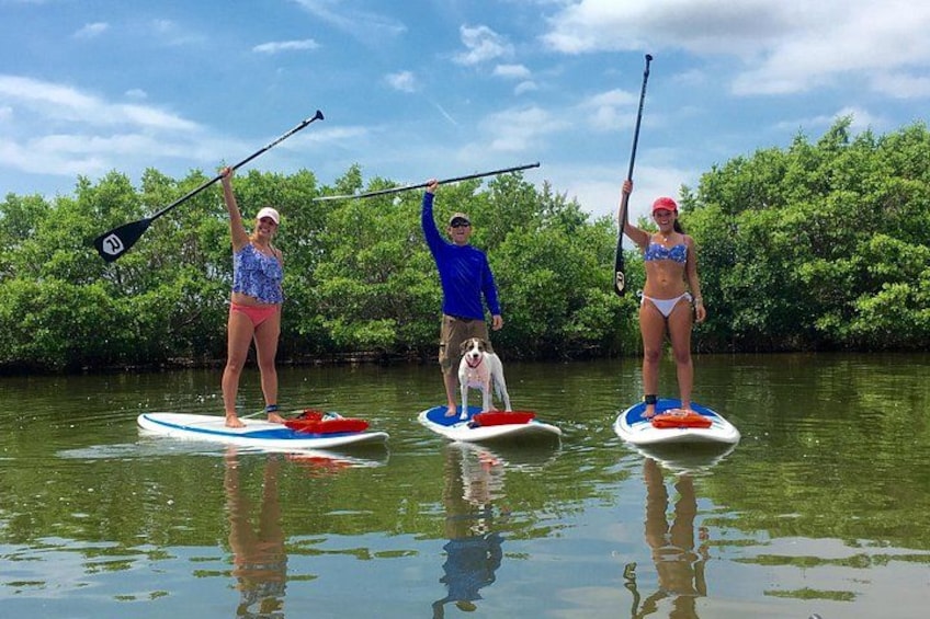 Tre persone che fanno paddleboarding su un fiume calmo, con una fitta vegetazione sullo sfondo. 3