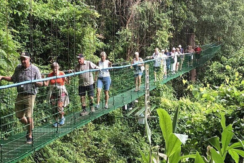 Arenal Volcano Hanging Bridges & Baldi Hot Springs. Private Tour from San Jose 3