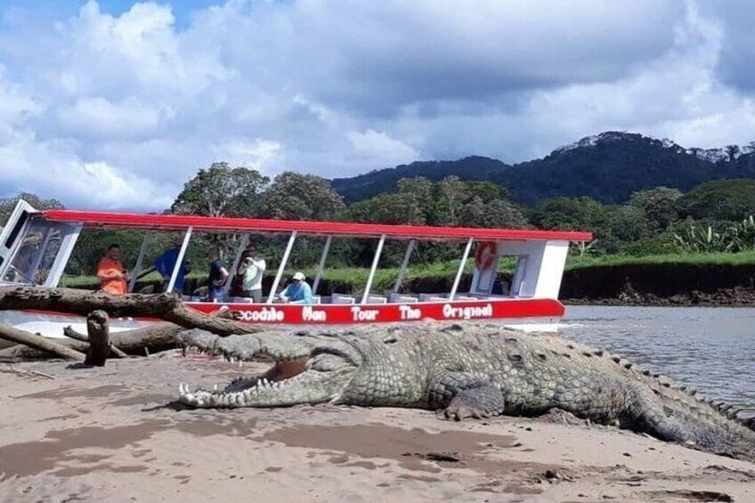 Chocolate Tour & Crocodile Safari Boat Tour 2