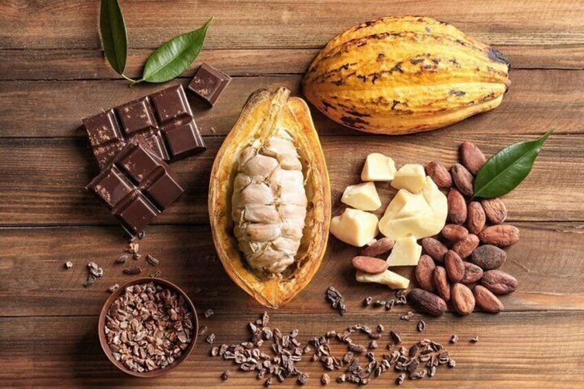 Chocolate Tour & Crocodile Safari Boat Tour 5