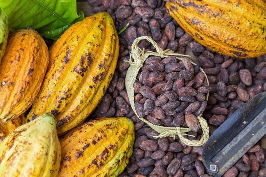 Chocolate Tour & Baldi Hot Springs. Private Tour from San Jose 5