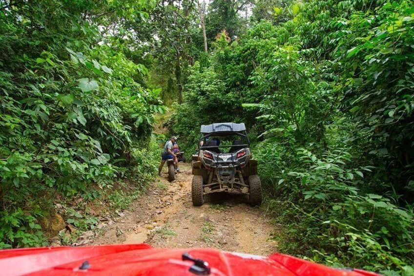 Buggy Tour from San Jose