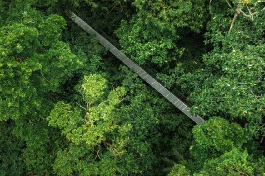 Private Monteverde Hanging Bridges Tour 4