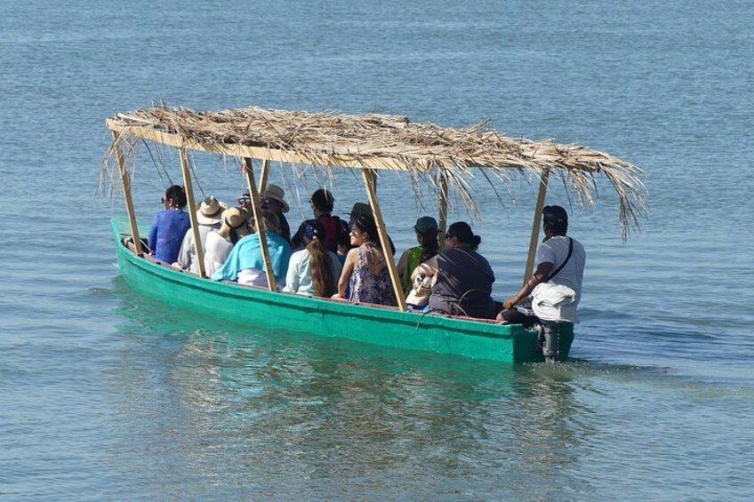 3 Palos Lagoon AfroMex Village Turtle Release & Croc Farm Visit 3