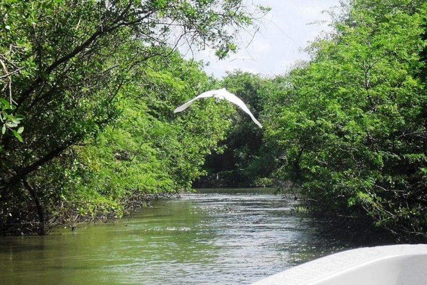 A visit to the 3 Palos Lagoon 1