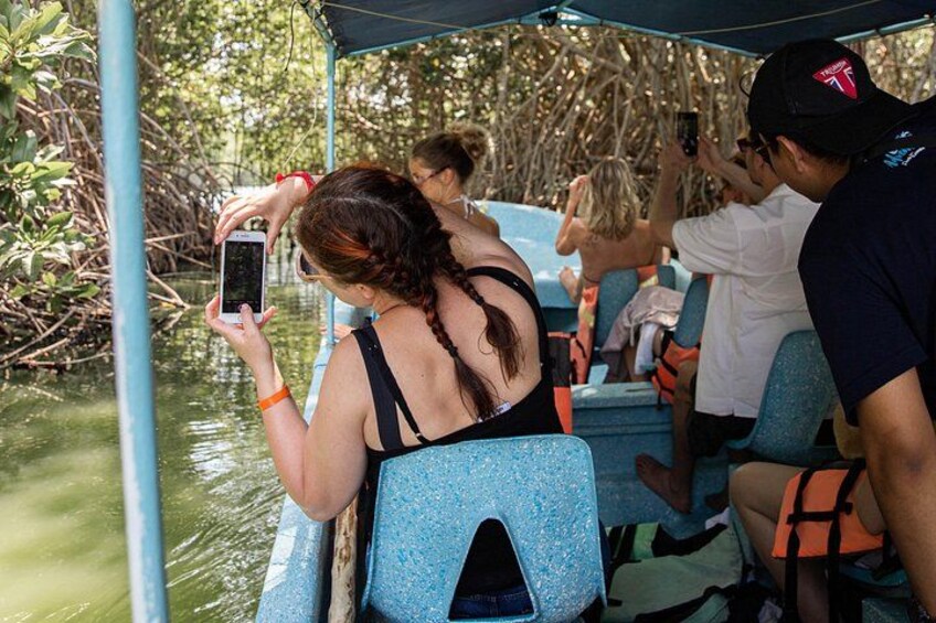 Personas en un bote en una zona de mangle. 5