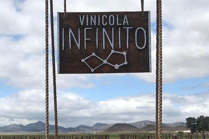 A wooden sign with the text 'VINICOLA INFINITO' and a molecular structure graphic. 1