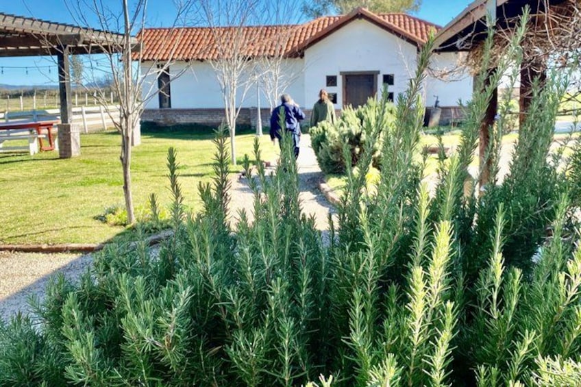 Ojos Negros Valley Wine and Cheese Route Tour in Baja California 5