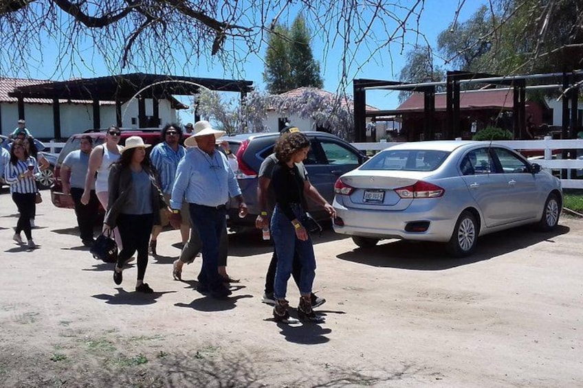 A group of people walking in a parking lot with cars parked nearby. 5
