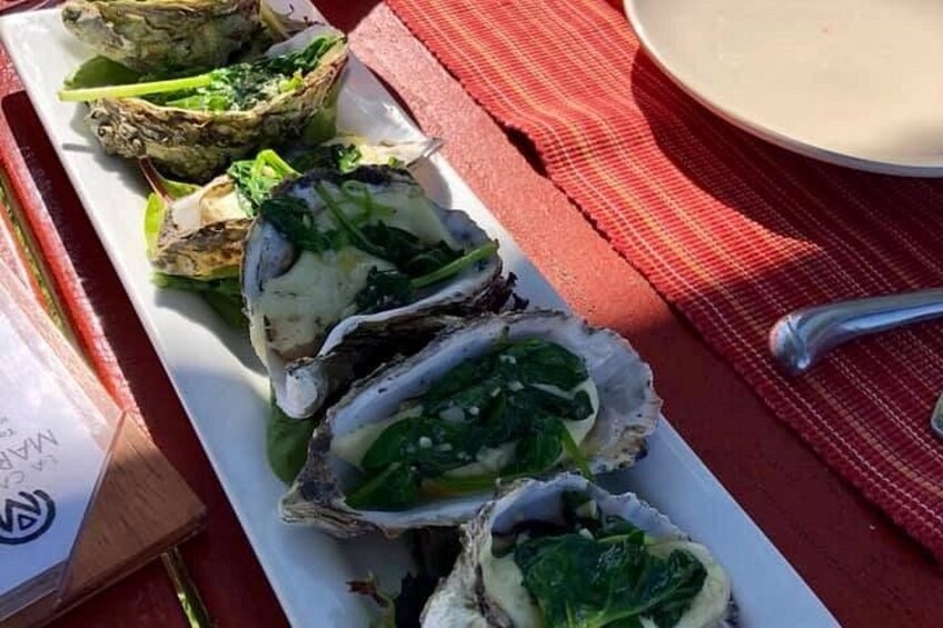 A white rectangular plate with several oysters, some with green leaves, on a red tablecloth. 5