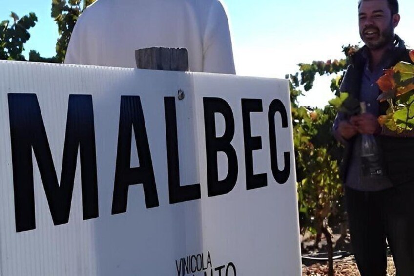 Ojos Negros Valley Wine and Cheese Route Tour in Baja California 4