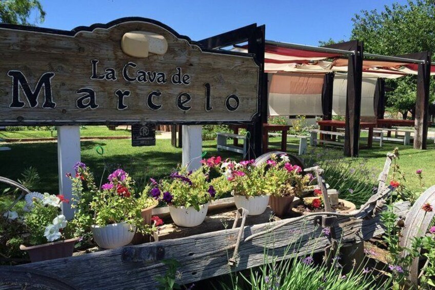 Un letrero de madera con la inscripción 'La Cava de Marcel', rodeado de plantas en macetas y una cerca rústica. 1