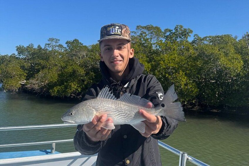 A person holding a fish on a boat with a mangrove background. 2