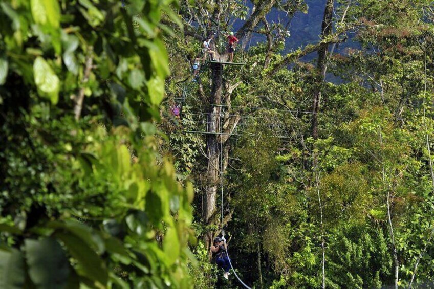 La Fortuna Waterfall and Canopy Tour