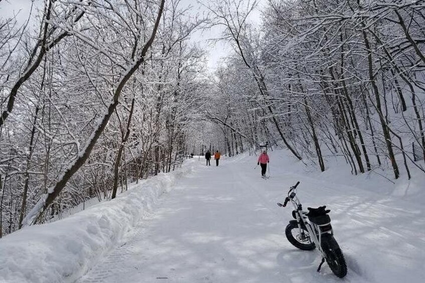 Un sendero nevado con árboles, una persona con una chaqueta rosa y una motocicleta. 5