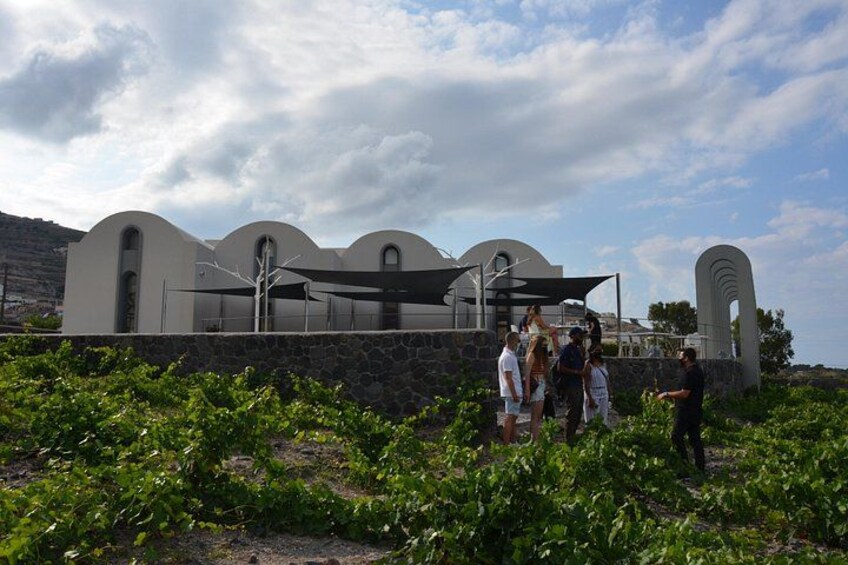 A modern building with arched windows and a stone wall, surrounded by greenery. 3